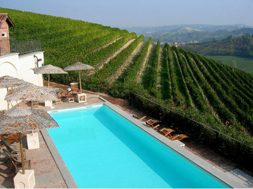 View of the Vineyards of Villa Tiboldi  